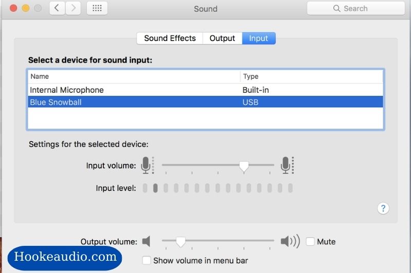 Microphone Settings on mac