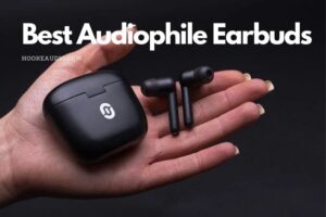 Best Audiophile Earbuds in 2022 Top Brands Review