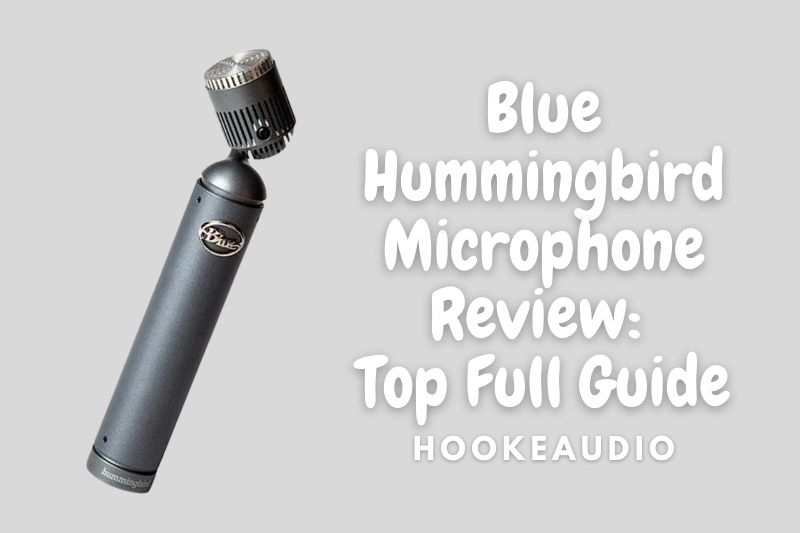 Blue Hummingbird Microphone Review 2022 Top Full Guide