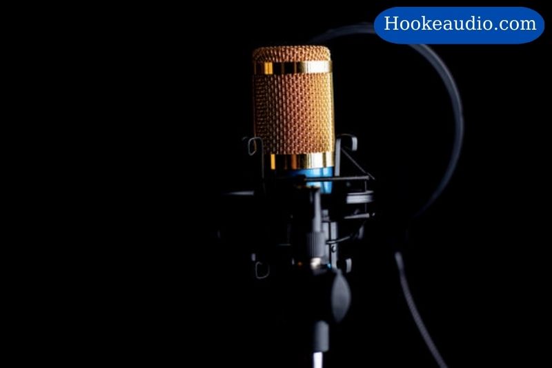 Features and Benefits of Bm-800 Condenser Microphone Review