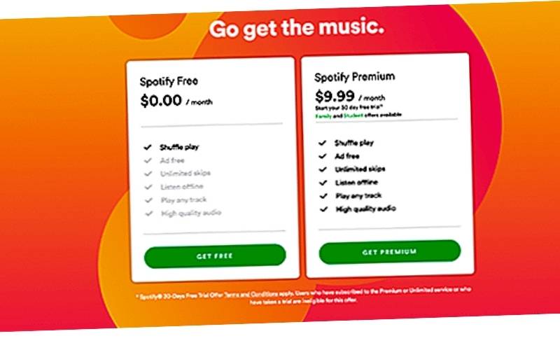 Spotify Cost
