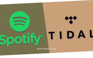 Tidal Vs Spotify Comparison side by side