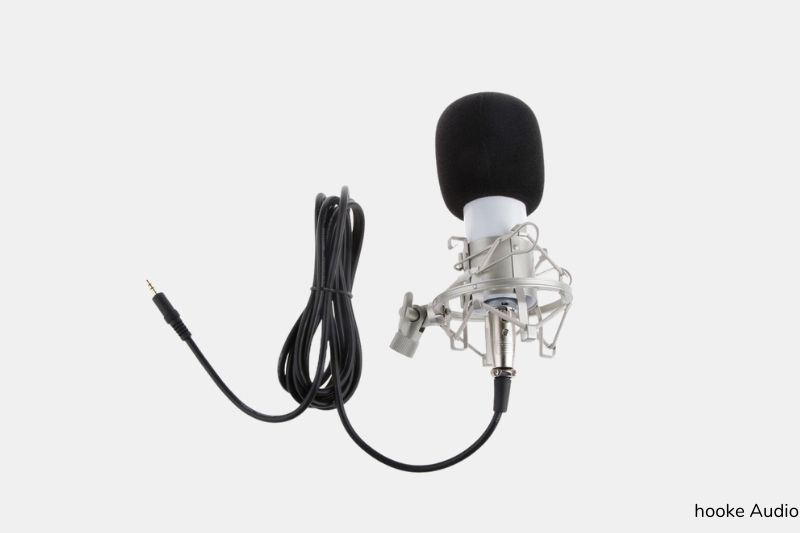 use this microphone on a Mac