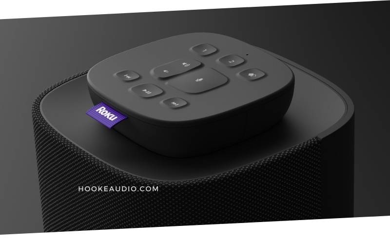 Who should get the Roku TV Wireless Speakers