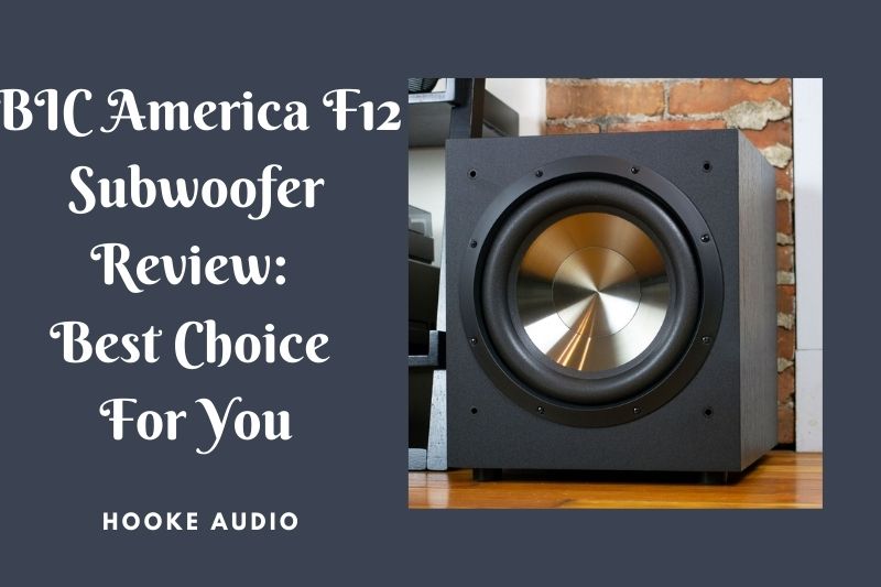 BIC America F12 Subwoofer Review: Best Choice For You