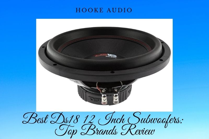 Best Ds18 12 Inch Subwoofers: Top Brands Review