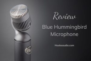 Blue Hummingbird Microphone Review Top Full Guide 2023