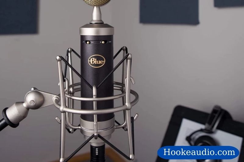 Hummingbird from Blue Microphones review