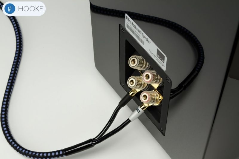 Can you Wire Speakers With 4 Terminals